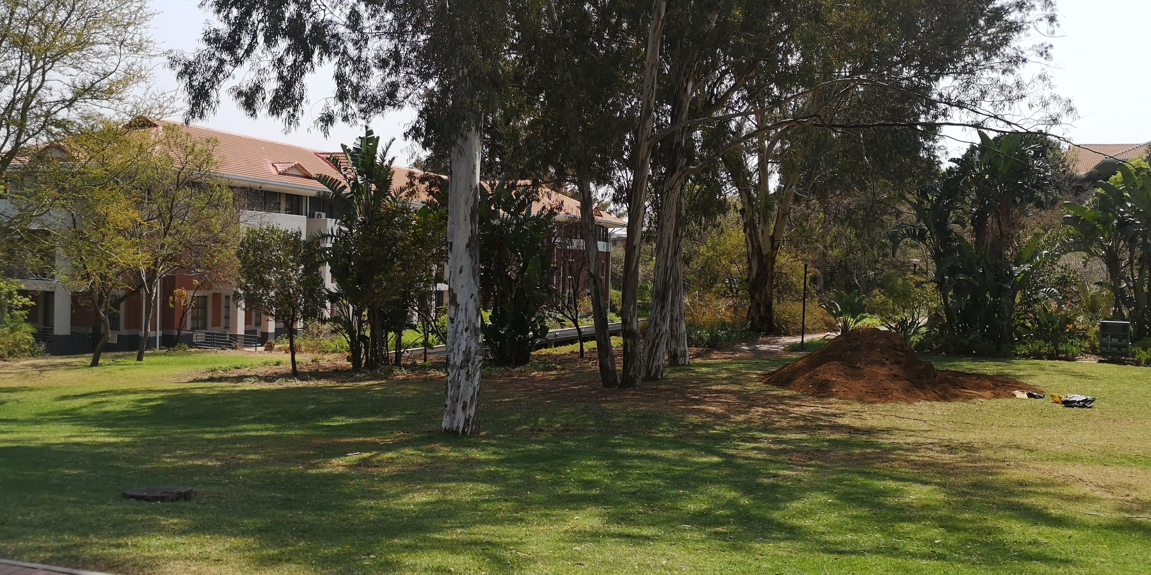 Office Space to rent at Woodlands Office Park in Woodmead