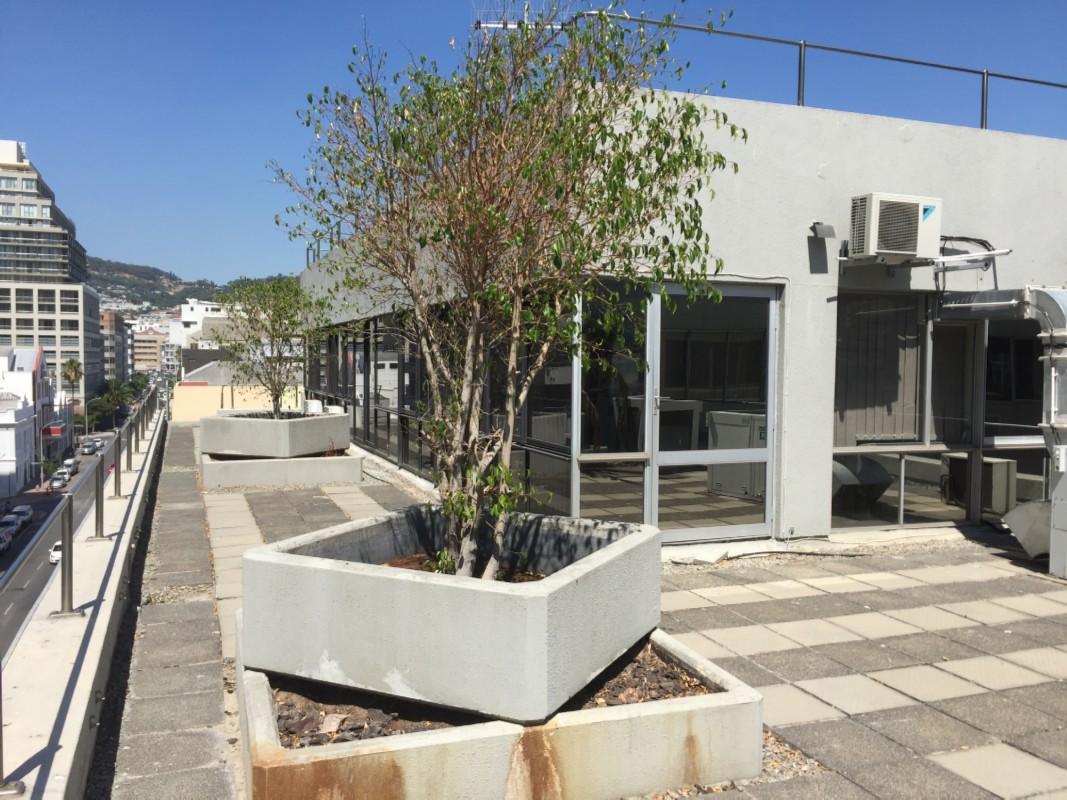 858m² Office Space to rent at 35 On Wale in Cape Town CBD