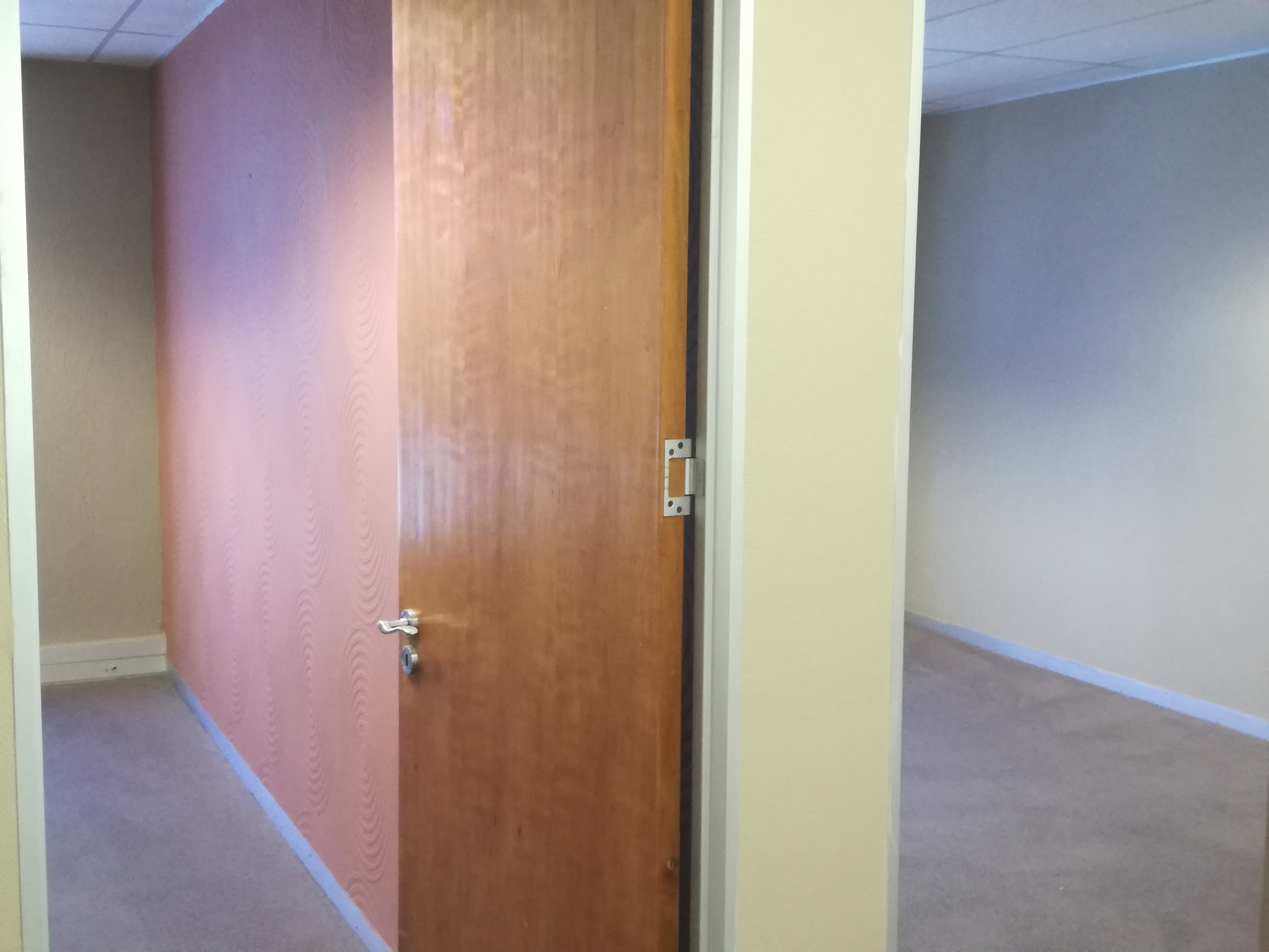 295m² Office Space to rent at 382 Jan Smuts Avenue in Craighall Park
