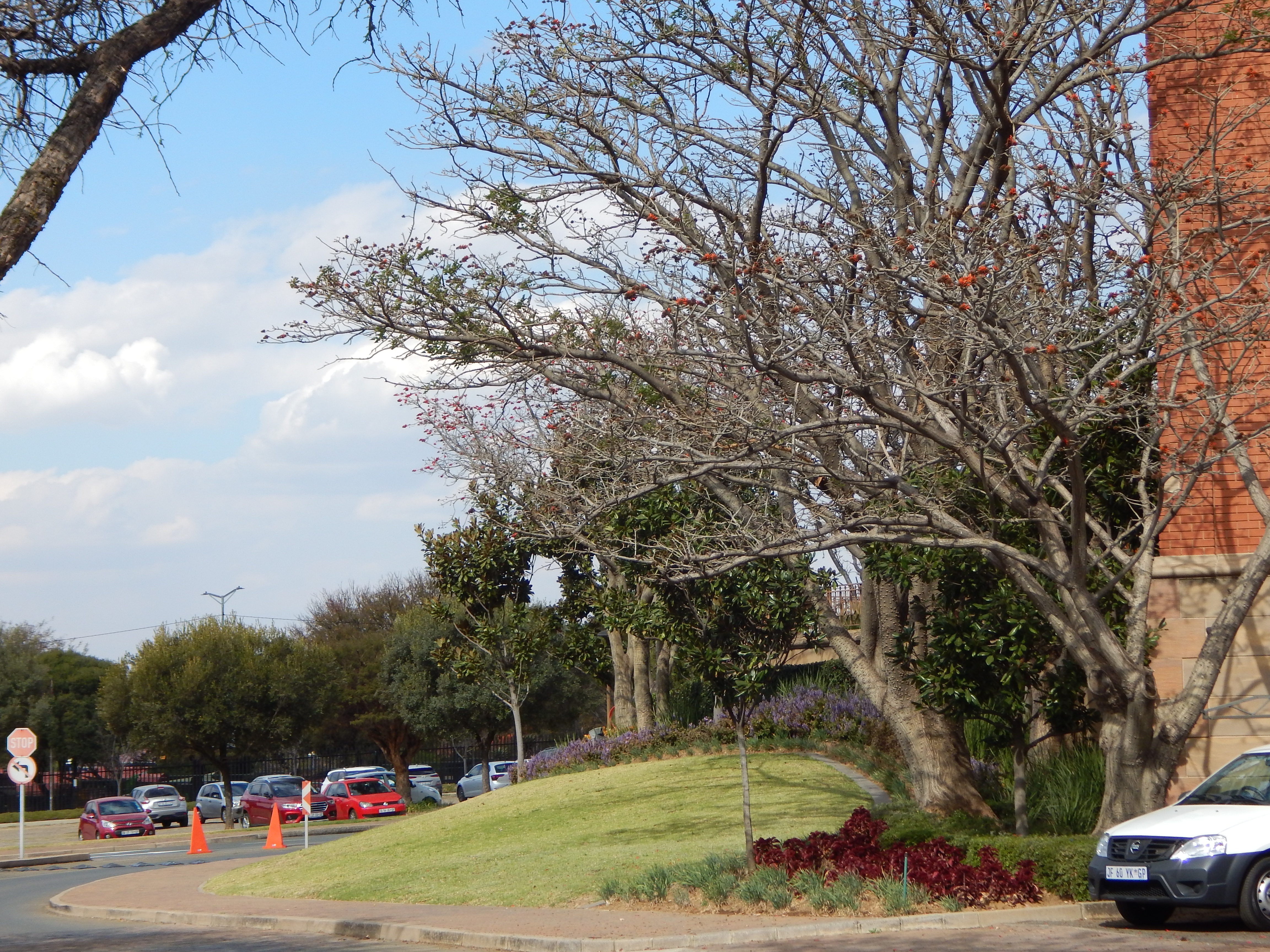 Office Space to rent at The Campus in Bryanston