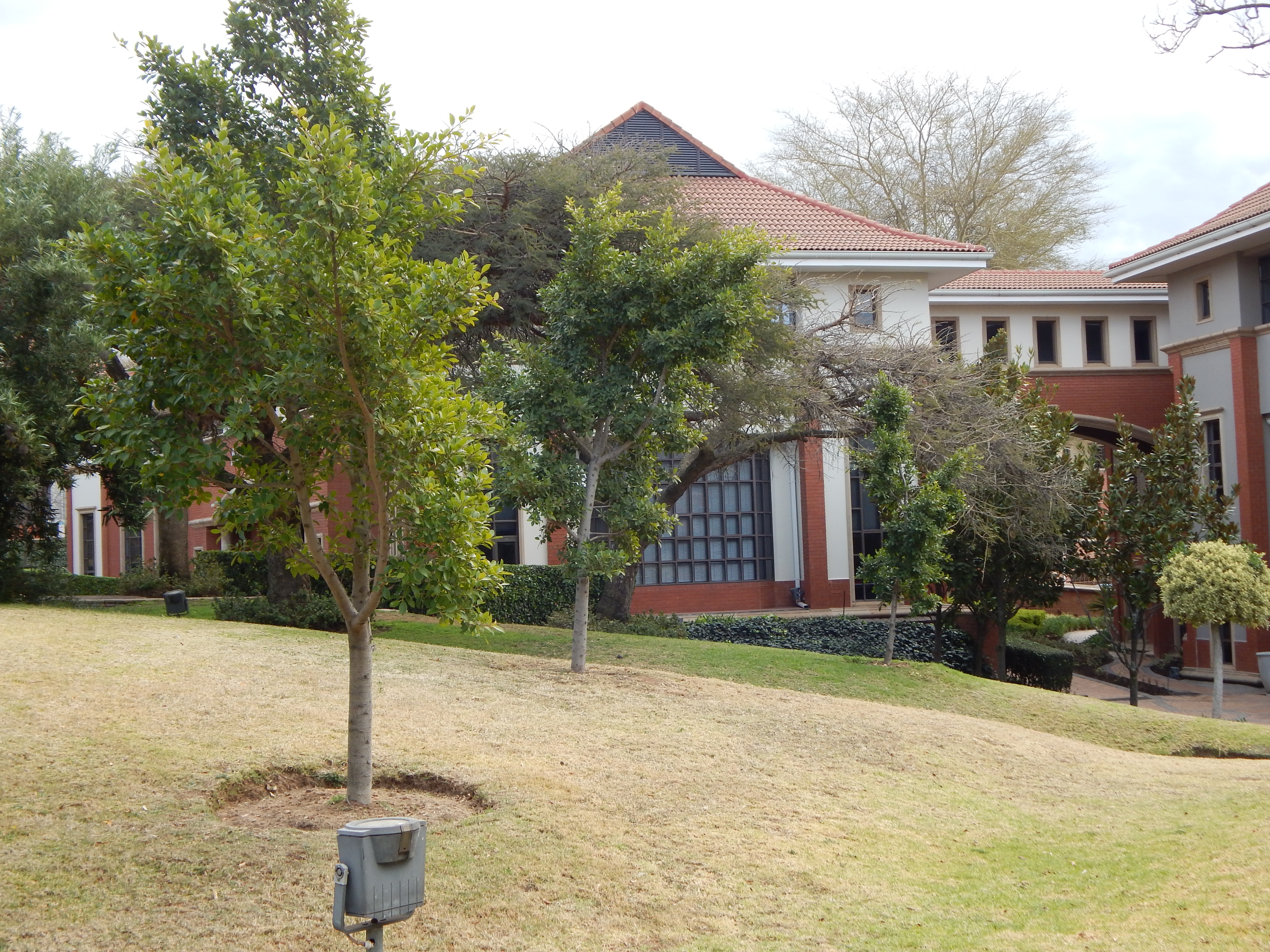 Office Space to rent at The Campus in Bryanston