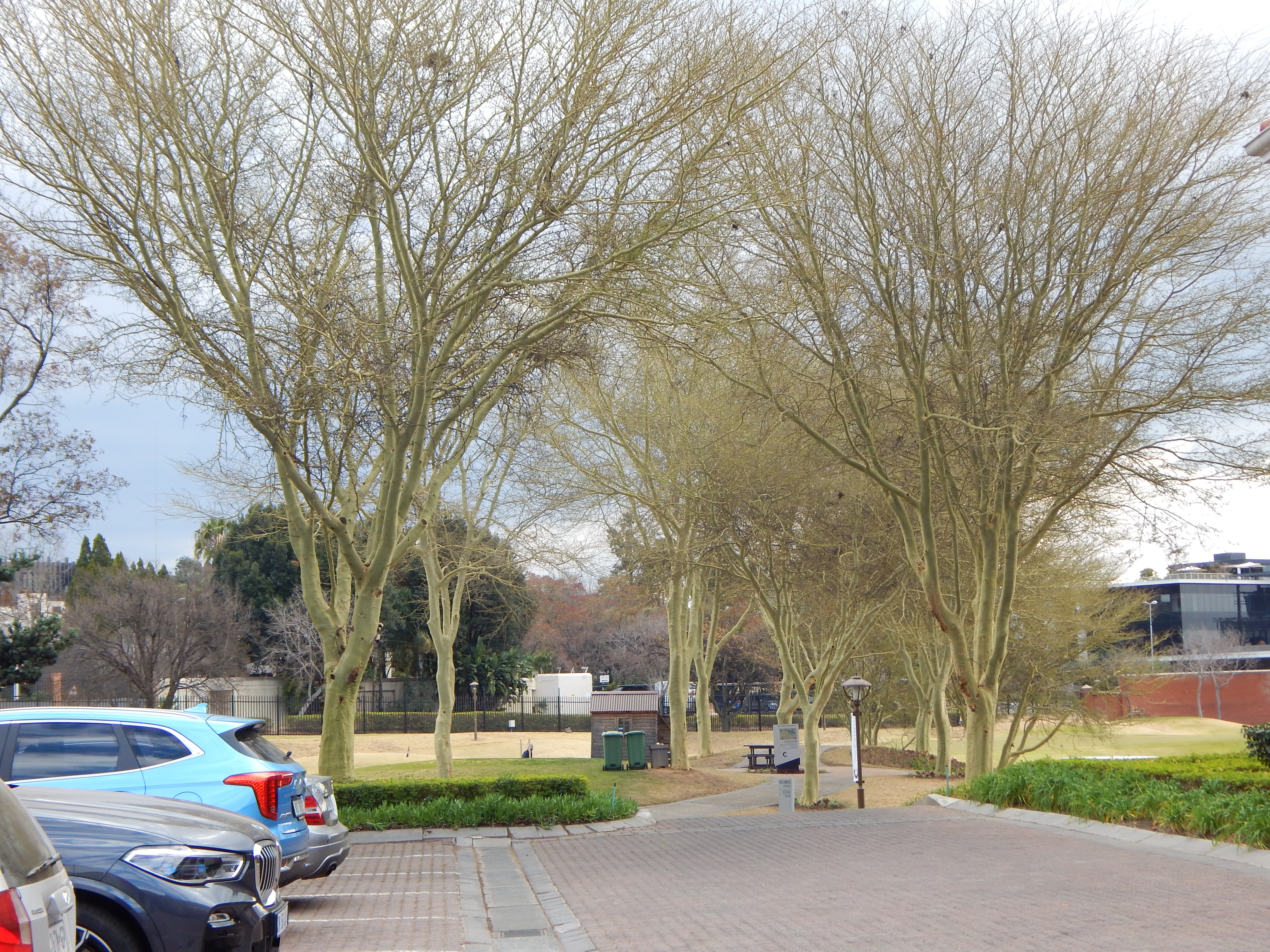 Office Space to rent at The Campus in Bryanston