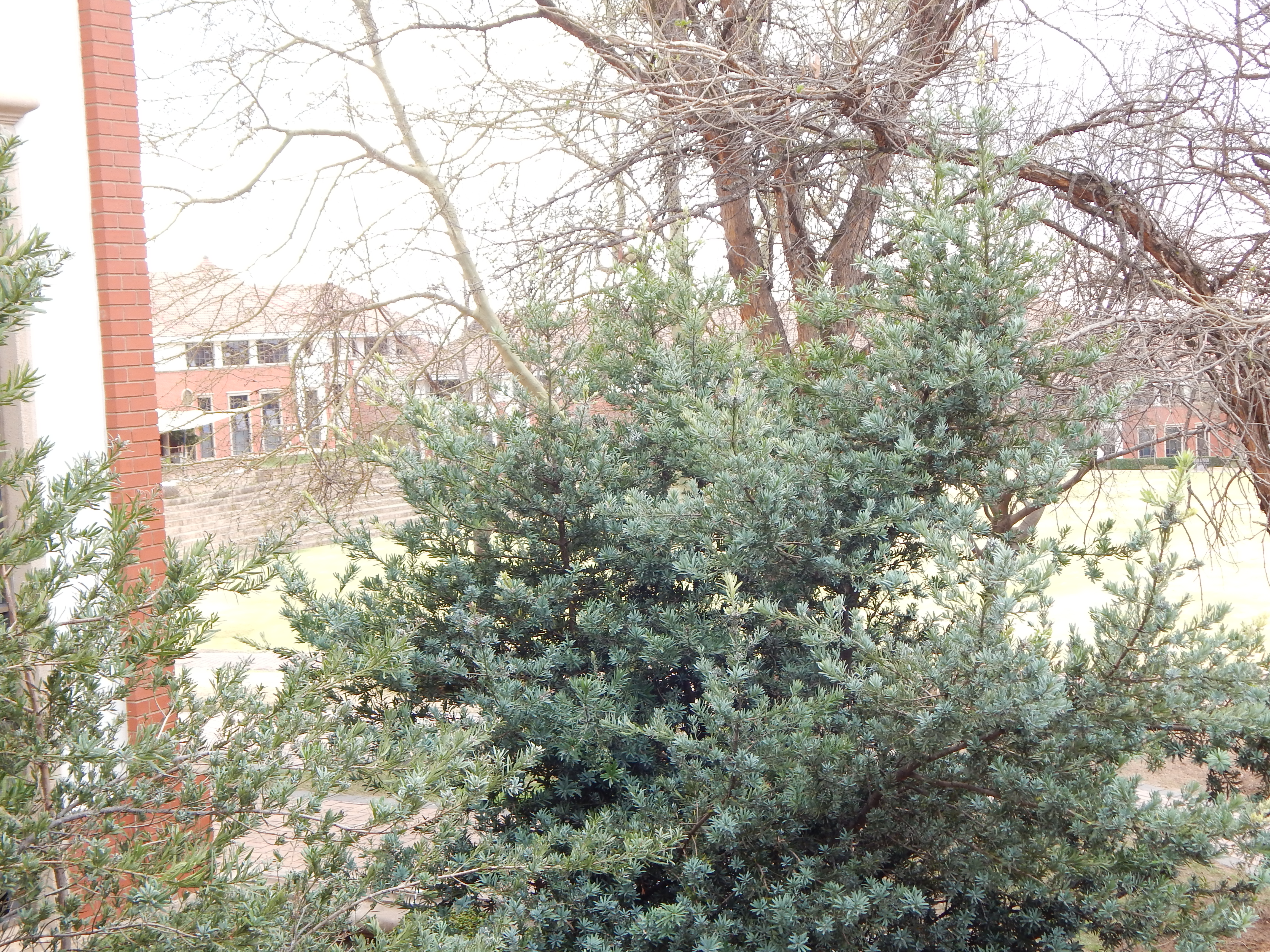 Office Space to rent at The Campus in Bryanston