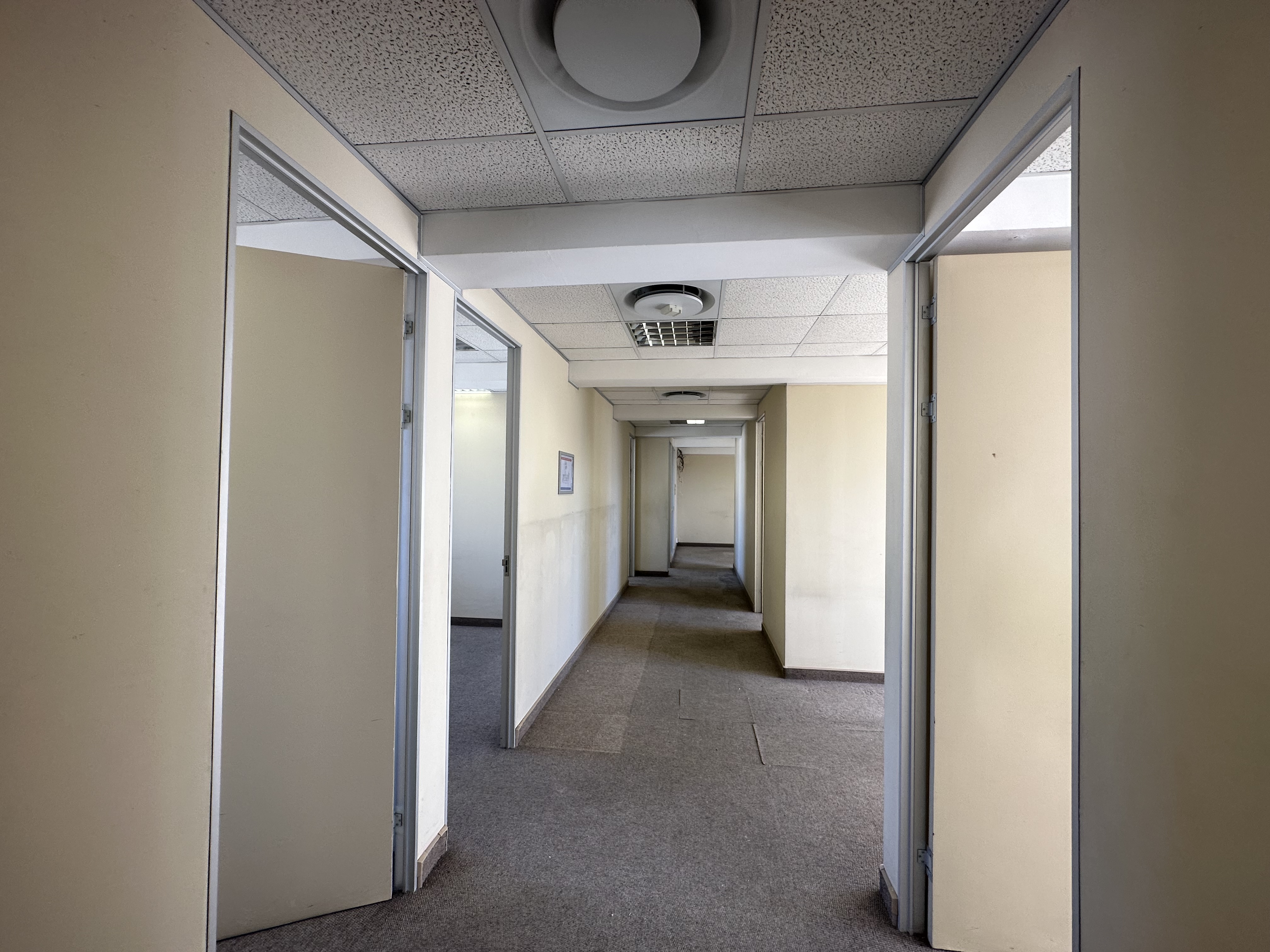 222m² Office Space to rent at Constitution House in Cape Town CBD