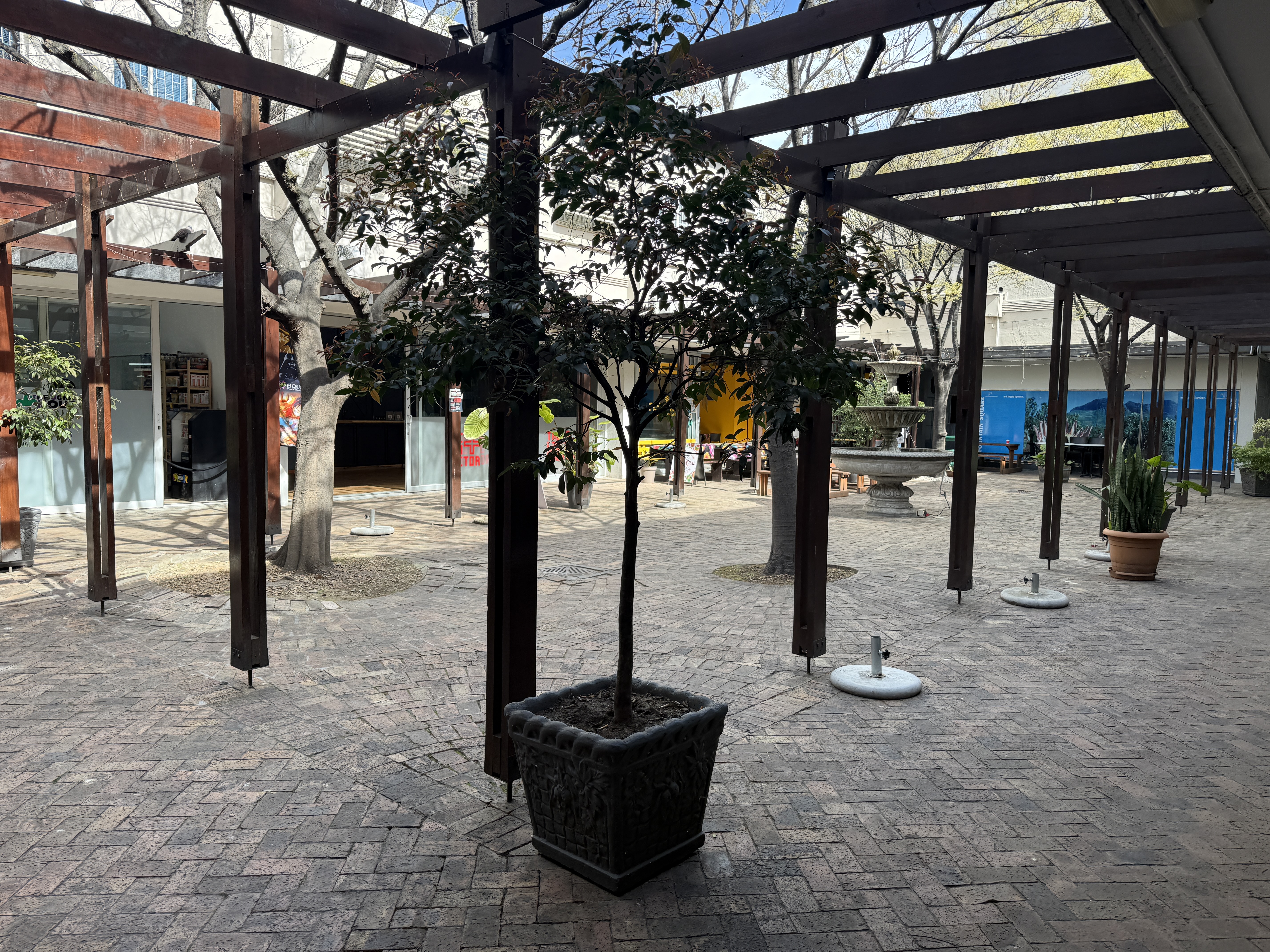 56m² Retail Shops to rent at Fountain Square - Somerset West in Somerset West