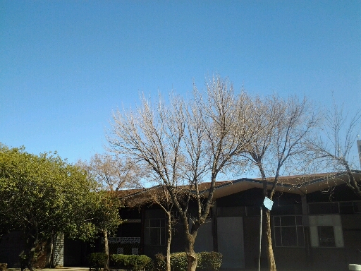 Warehouse to rent at Ben 12 in Benrose