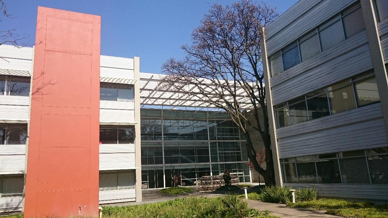 Office Space to rent at 33 Fricker Road in Illovo