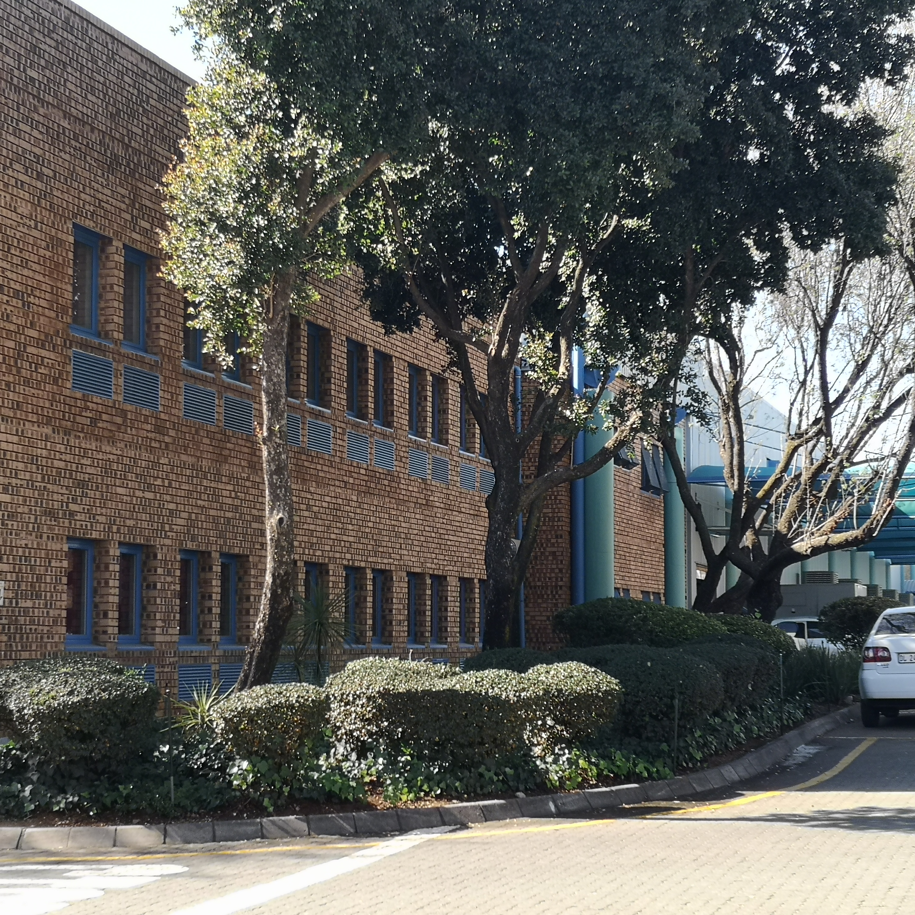Warehouse to rent at Mifa Industrial Park in Glen Austin
