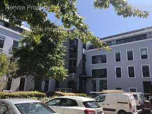 Office Space to rent at Boundary Terraces in Newlands
