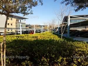 5 854m² Office Space to rent at Eco Glades 2 in Highveld Techno Park