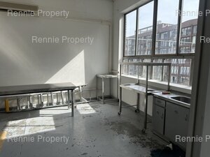 Office Space to rent at 299 Albert Road in Woodstock
