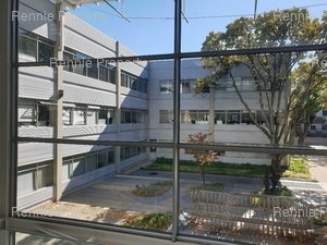 Office Space to rent at 33 Fricker Road in Illovo