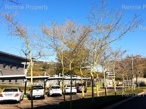 5 854m² Office Space to rent at Eco Glades 2 in Highveld Techno Park