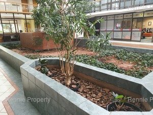122m² Office Space to rent at Atrium Terrace in Ferndale