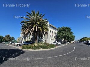 Office Space to rent at 142 Edward Street in Bo Oakdale