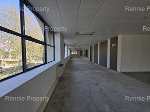 7 259m² Office Space to rent at 17 Fricker Road Illovo in Illovo