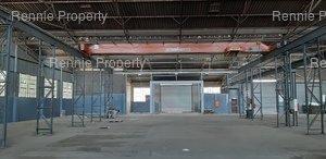 Warehouse to rent at Northreef Park in Elandsfontein