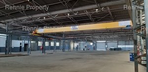 Warehouse to rent at Northreef Park in Elandsfontein