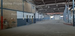 Warehouse to rent at Northreef Park in Elandsfontein