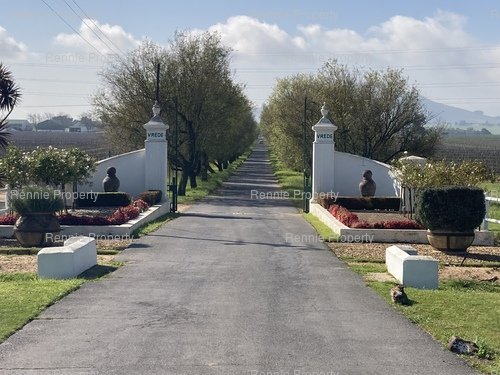 Vrede Wines, Stellenbosch