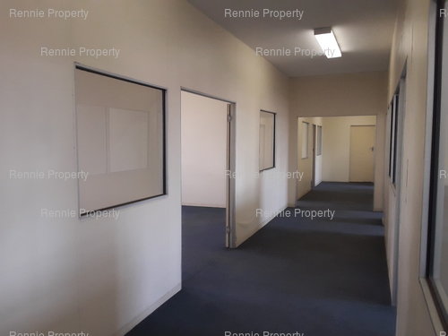 487m² Surrey Ave,Ferndale